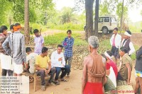 तेंदूपत्ता बोनस अब सीधे खातों में (Photo source- Patrika)