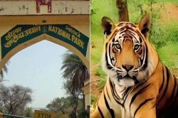 सुप्रीम कोर्ट से सरिस्का CTH पर प्रदेश सरकार को बड़ा झटका, ड्राफ्ट लौटाया - image