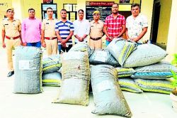Smuggling-दुर्घटनाग्रस्त लग्जरी कारों में मिला 413.5 किग्रा डोडा पोस्त - image