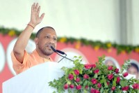 Cm yogi