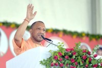 Cm yogi