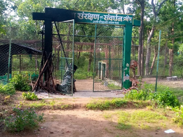 CG Tourism: उदंती सीतानदी टाइगर रिजर्व पहुंचा पर्यटकों का दल, प्रकृति का दिखा दुर्लभ नजारा, देखें तस्वीरें | A Group Of Tourists Reached Udanti Sitanadi Tiger Reserve