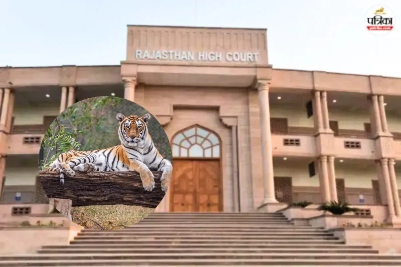 Rajasthan High Court