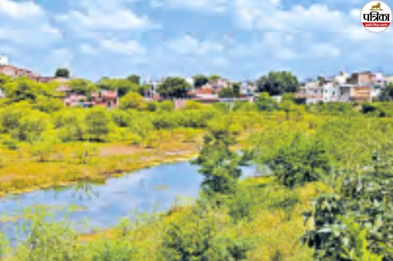 Rajasthan dams remain empty