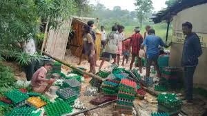 सड़क पर पलटी अंडों से भरी पिकअप, ग्रामीणों ने लूट लिए हजारों अंडे, देखें फोटो 
