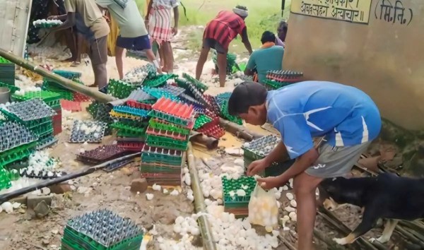 सड़क पर पलटी अंडों से भरी पिकअप, ग्रामीणों ने लूट लिए हजारों अंडे, देखें फोटो 
