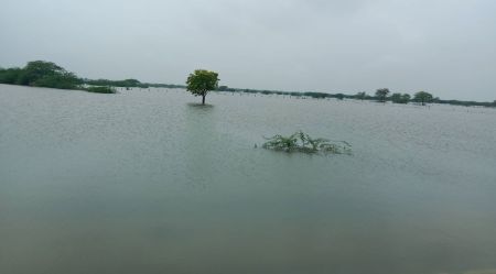 दूदू-मालपुरा सड़क मार्ग पर चल रही चादर
