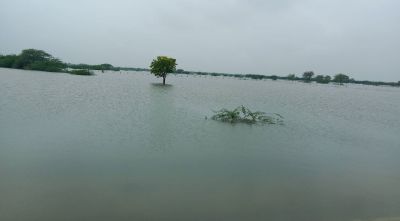 दूदू-मालपुरा सड़क मार्ग पर चल रही चादर