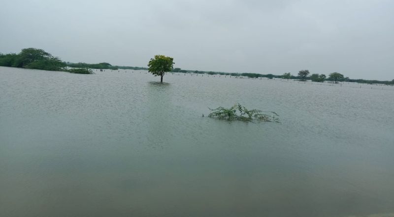 दूदू-मालपुरा सड़क मार्ग पर चल रही चादर