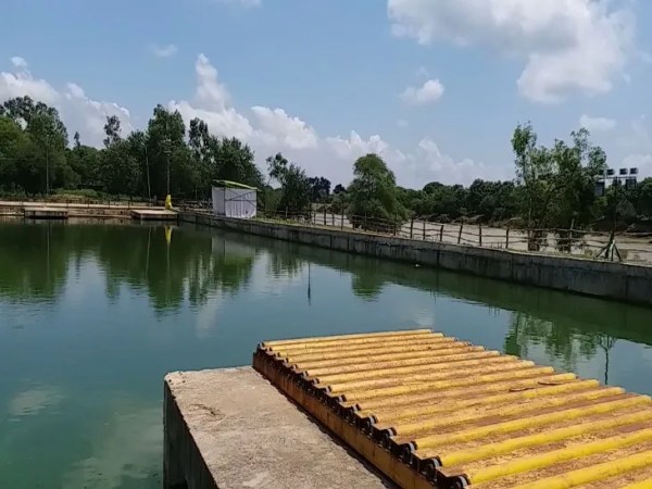 Raipur News: दुर्गा विसर्जन के लिए महादेव घाट विसजन कुंड की तैयारी, देखें तस्वीरें 
