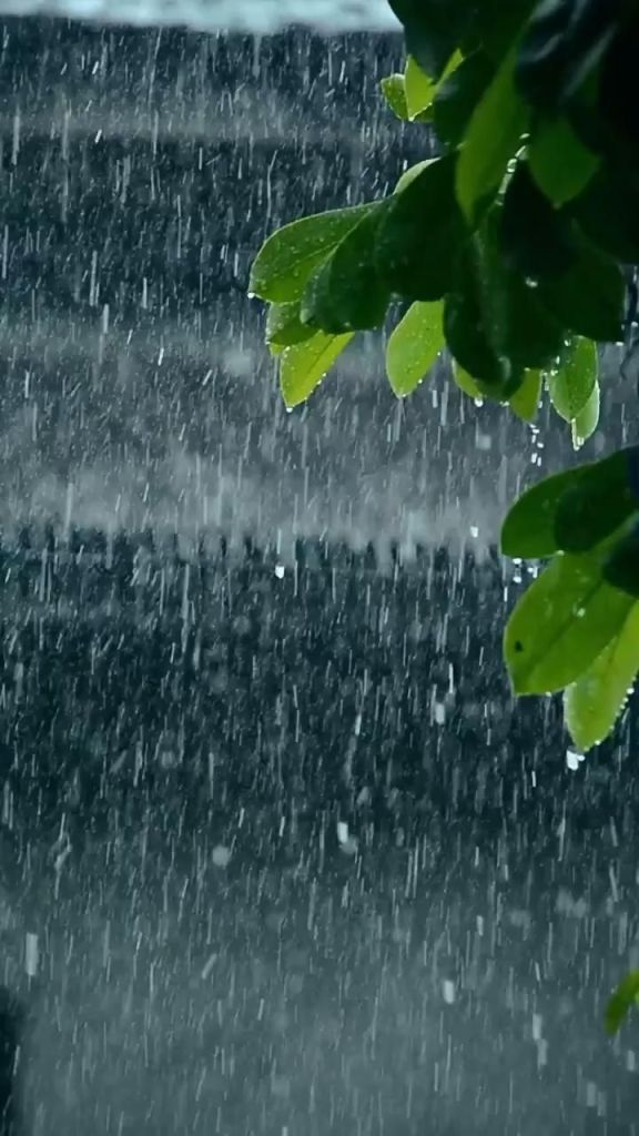 बारिश (फोटो सोर्स- Getty Images)