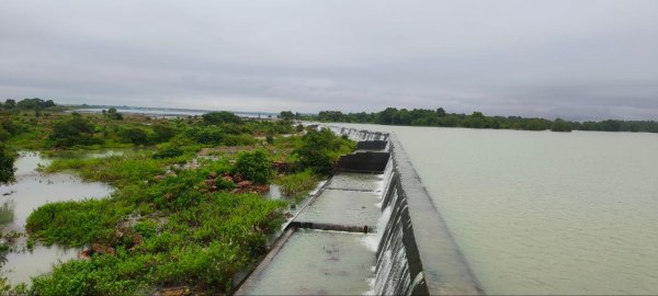 CG News: तांदुला जलाशय हुआ ओवरफ्लो, 38 फीट के पार पहुंचा, देखें तस्वीरें 
