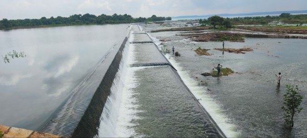 CG News: तांदुला जलाशय हुआ ओवरफ्लो, 38 फीट के पार पहुंचा, देखें तस्वीरें 
