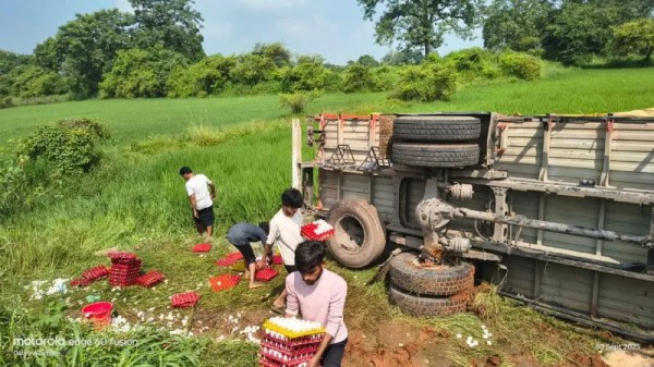 सड़क पर पलटी अंडों से भरी पिकअप, ग्रामीणों ने लूट लिए हजारों अंडे, देखें फोटो 
