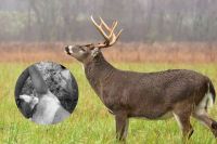 Jaisalmer Farmer Murder