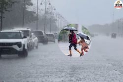 IMD: हिमाचल से ओडिशा तक… अगले 3 घंटे में 9 राज्यों के लिए भारी बारिश का अलर्ट,
जानें कहां-कहां बिगड़ेगा मौसम? - image