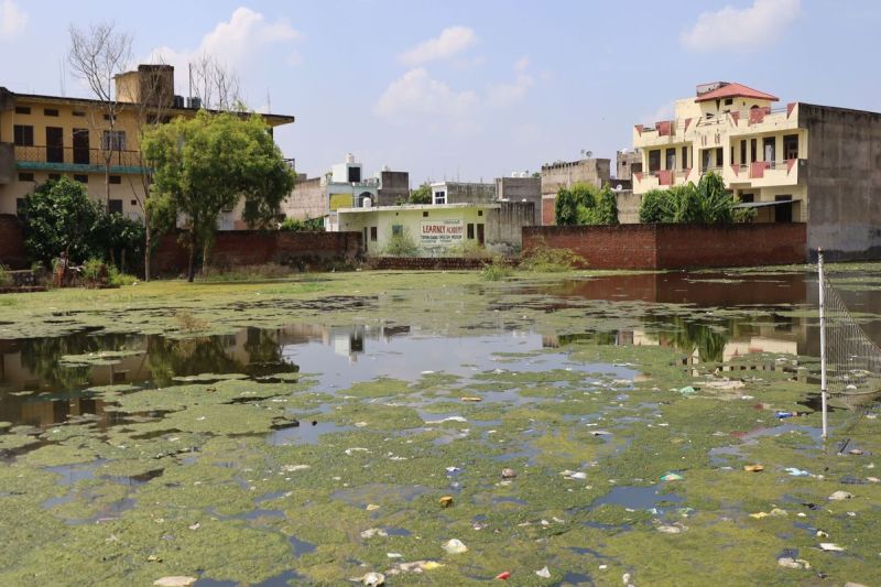 शहर से लेकर देहात तक में डेंगू की दस्तक, अब तक 14 मरीज पॉजीटिव Dengue outbreak in cities and villages, 14 patients positive so far