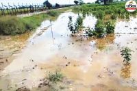 water entered Indian border from Pakistan