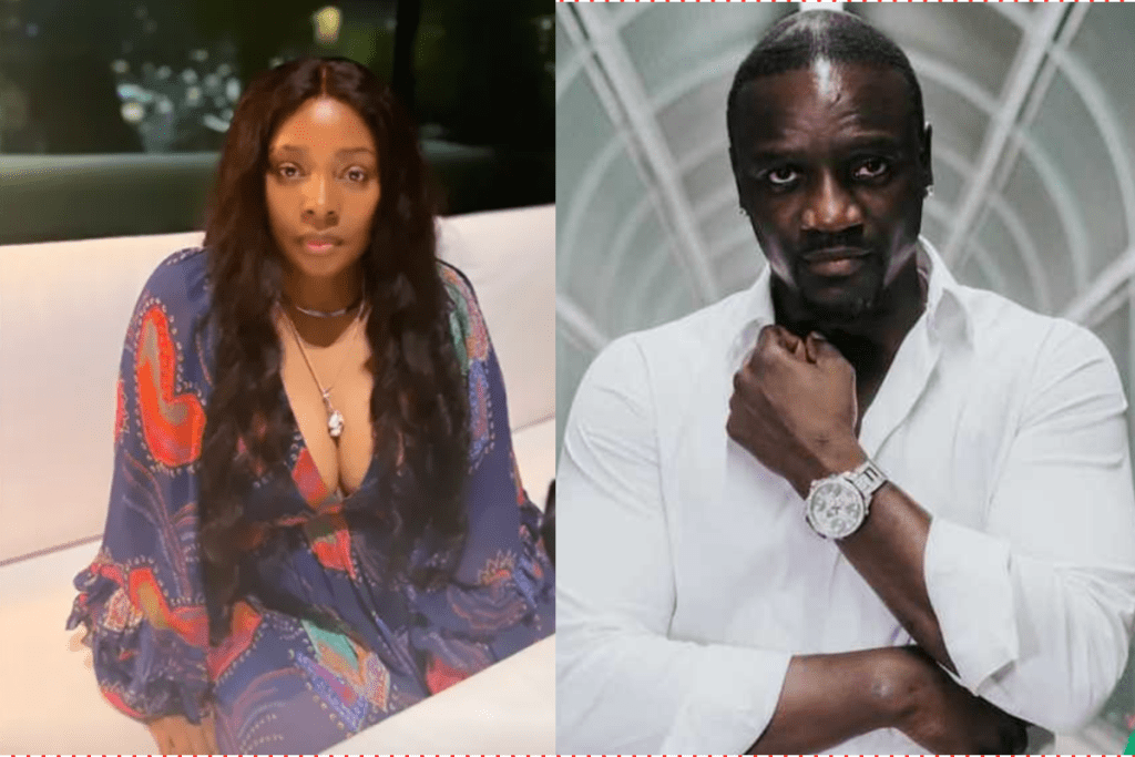 Akon-Tomeka Thiam Divorce