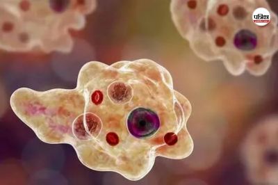 Brain-eating amoeba