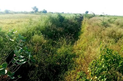 नहरों की सफाई के लिए नहीं मिल रहे नरेगा श्रमिक