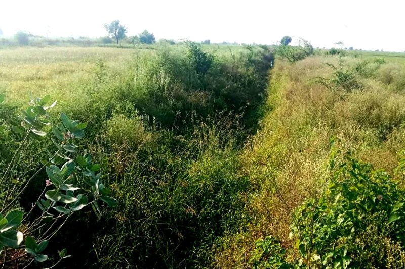 नहरों की सफाई के लिए नहीं मिल रहे नरेगा श्रमिक