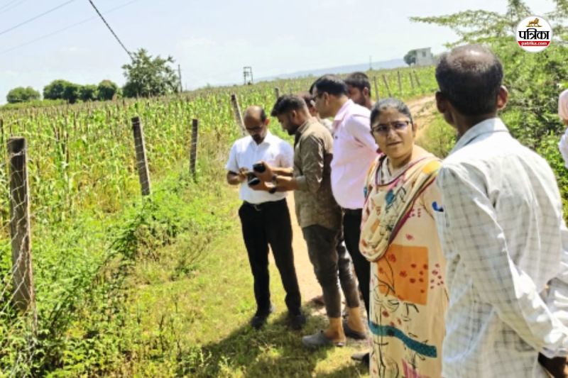 Collector-Kana-Ram-1