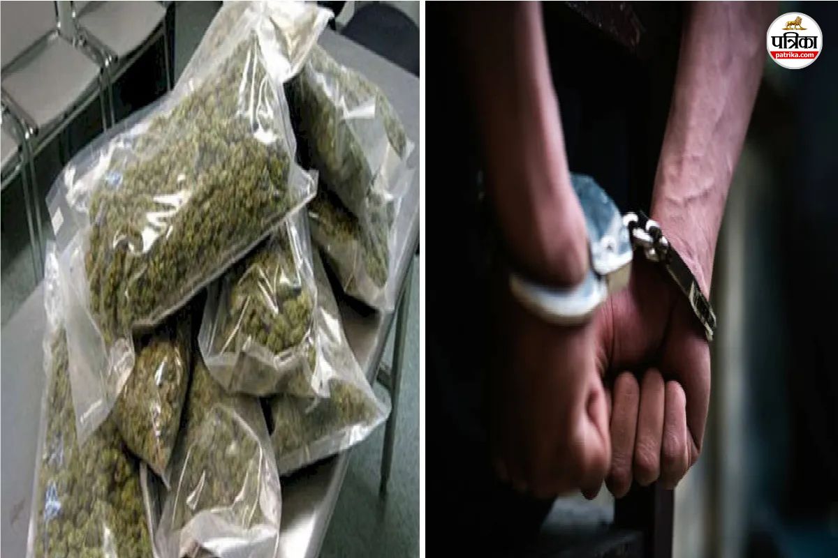 मोबाइल से गांजा बुकिंग करने वाला गिरोह पकड़ा गया... 4 आरोपी गिरफ्तार, एक किलो से अधिक गांजा जब्त(photo-patrika)