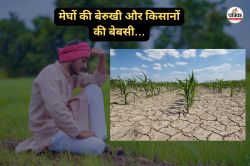 किसानों का दर्द… दुर्ग के इस क्षेत्र में दिखा मानसून का दोहरा रूप, कहीं हरा तो
कहीं सूखा, देखें रिपोर्ट - image