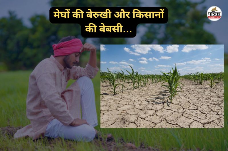 मेघों की बेरुखी और किसानों की बेबसी... (फोटो सोर्स- पत्रिका)