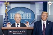Peter Navarro's statement on India