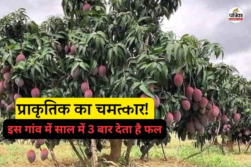 प्राकृतिक का चमत्कार! (फोटो सोर्स- पत्रिका)