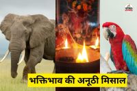 धमतरी में भक्ति और करुणा का अद्भुत संगम (फोटो सोर्स- पत्रिका)