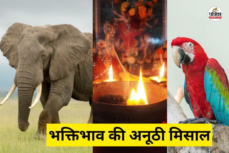 धमतरी में भक्ति और करुणा का अद्भुत संगम (फोटो सोर्स- पत्रिका)