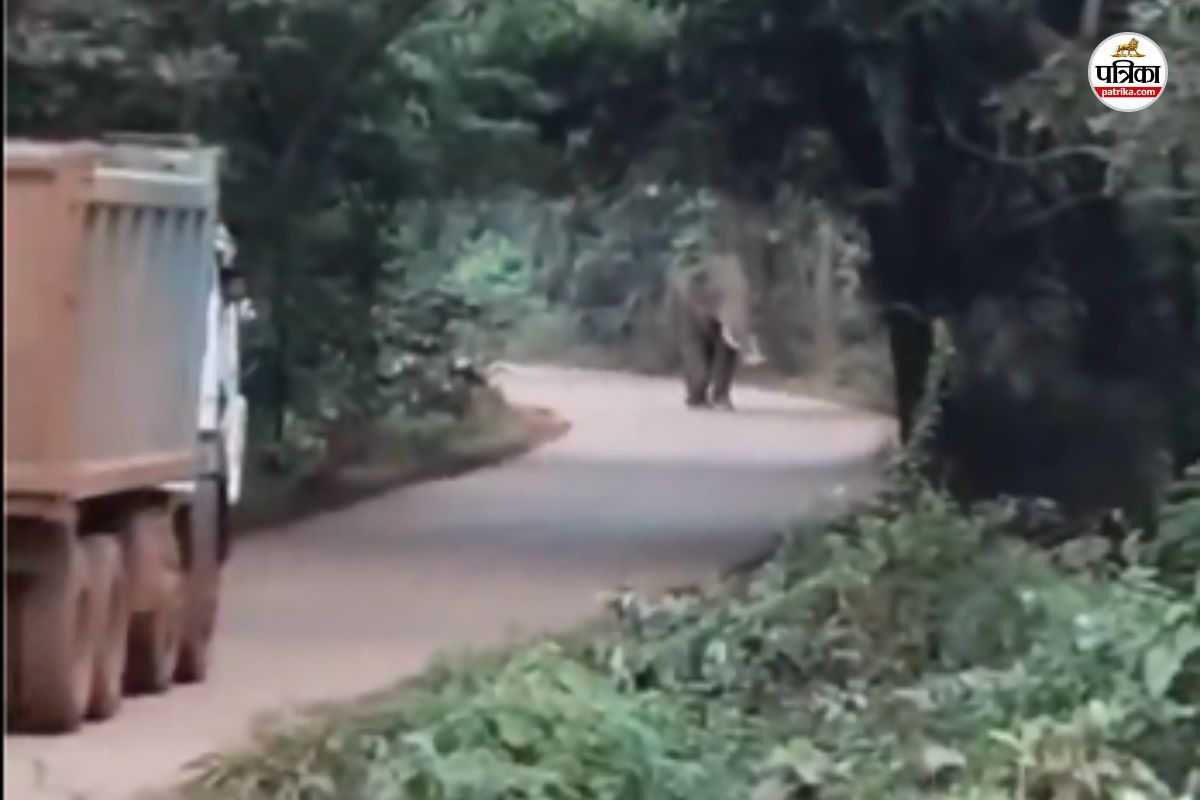 हाथी के सामने आते ही वाहनों ने ली रिवर्स, यहां के कई गांव अलर्ट पर, देखें VIDEO
