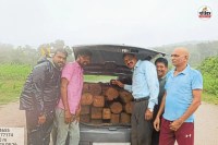 22 नग सागौन लकड़ी जप्त (फोटो सोर्स- पत्रिका)