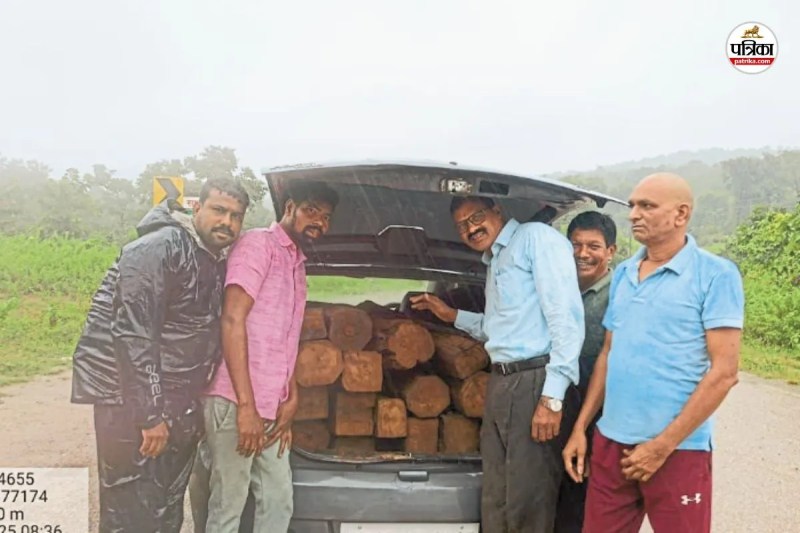 22 नग सागौन लकड़ी जप्त (फोटो सोर्स- पत्रिका)