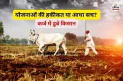 समर्थन मूल्य व समान निधि के बाद भी किसानों ने लिया 1189 करोड़ का कर्ज, आखिर
क्यों बढ़ रहा बोझ? आंकड़ों से समझें स्थिति - image
