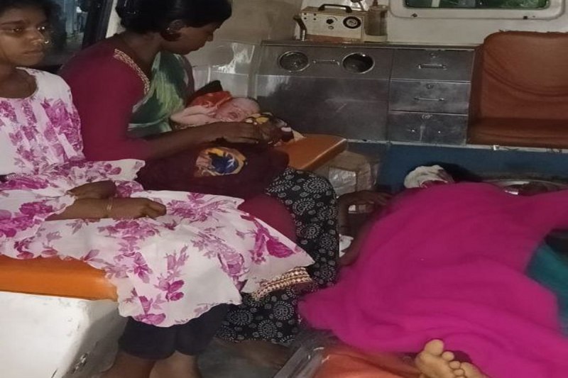 Bear attack on pregnant woman