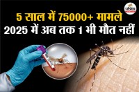 Dengue in Rajasthan