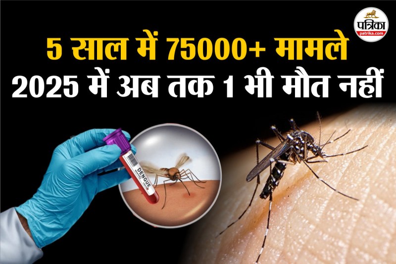 Dengue in Rajasthan