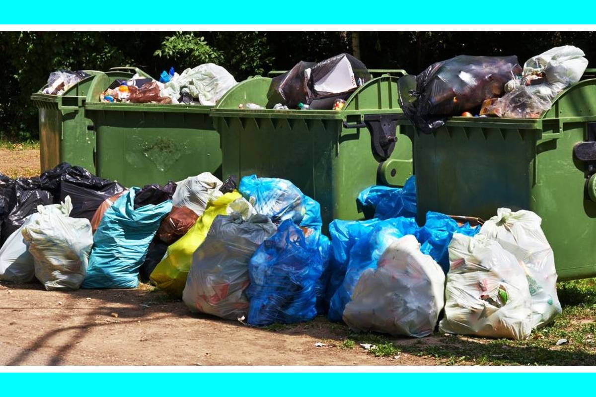Domestic Waste management system