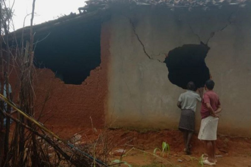 Elephant killed woman