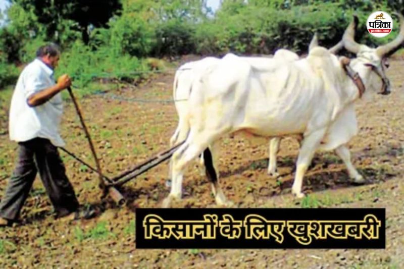 Rajasthan Farmers Relief News if you want a grant of Rs 30,000 then apply offline by 10 September