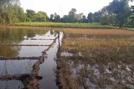 Farming News