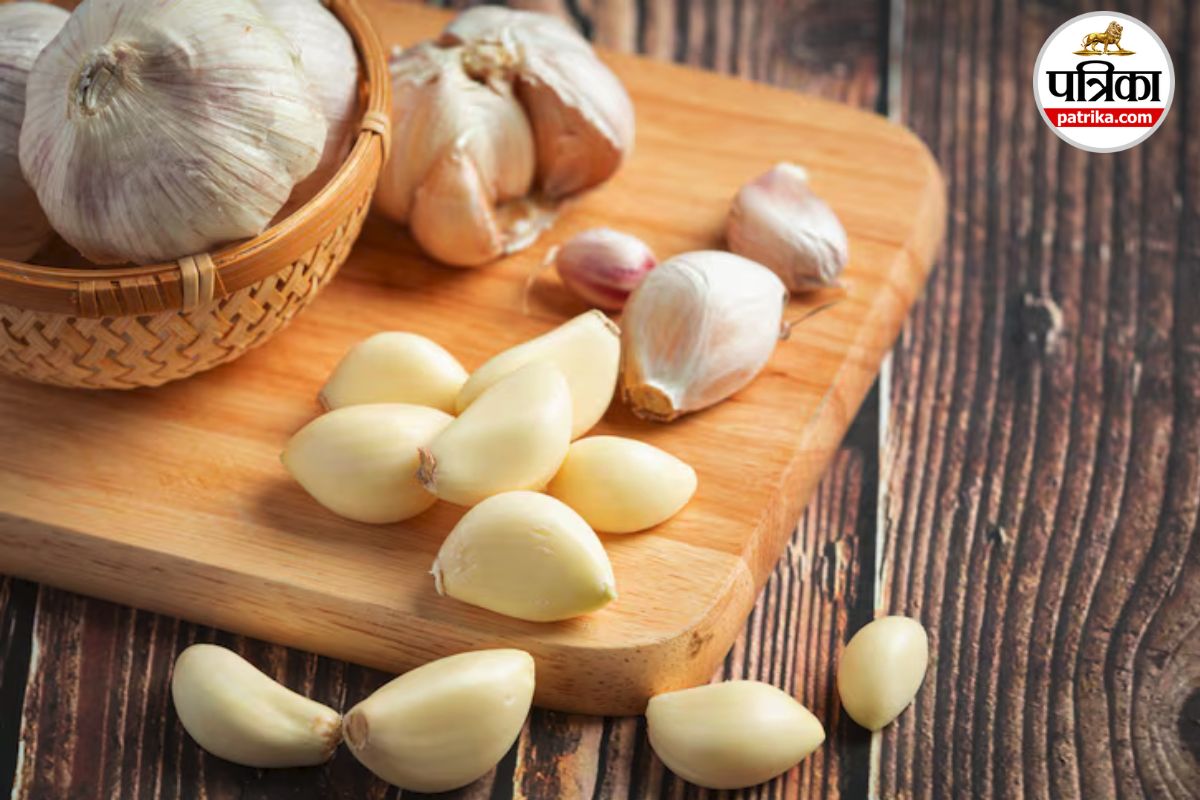 Garlic City In India