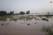 Ghaggar River Water