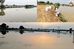 Ghaggar river