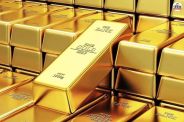 CM's big announcement on gold reserves in Katni
