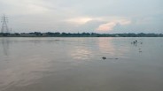 शव को गंगा में फेंका गया (फोटो सोर्स- पत्रिका वीडियो ग्रैब)